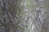 Pampisford fibreglass roof work